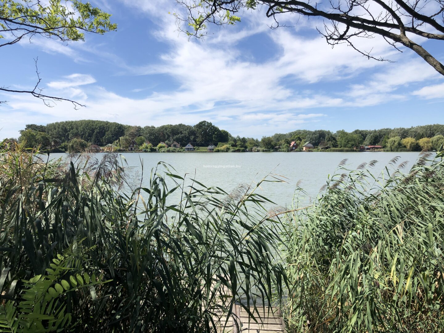 VÍZPARTI, BEFEKTETŐKNEK IS KIVÁLÓ – T20