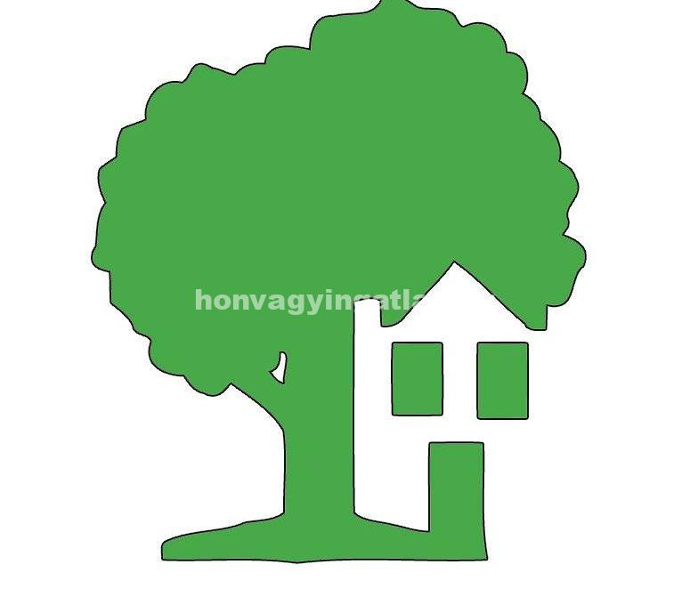 11994431_1184016258282205_1780488646_n