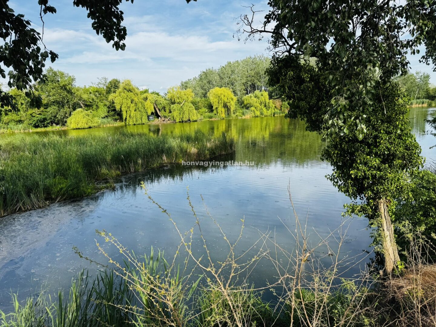 KÖZVETLEN VÍZPARTI ÉPÍTÉSI TELEK SZIGETCSÉPEN – T11