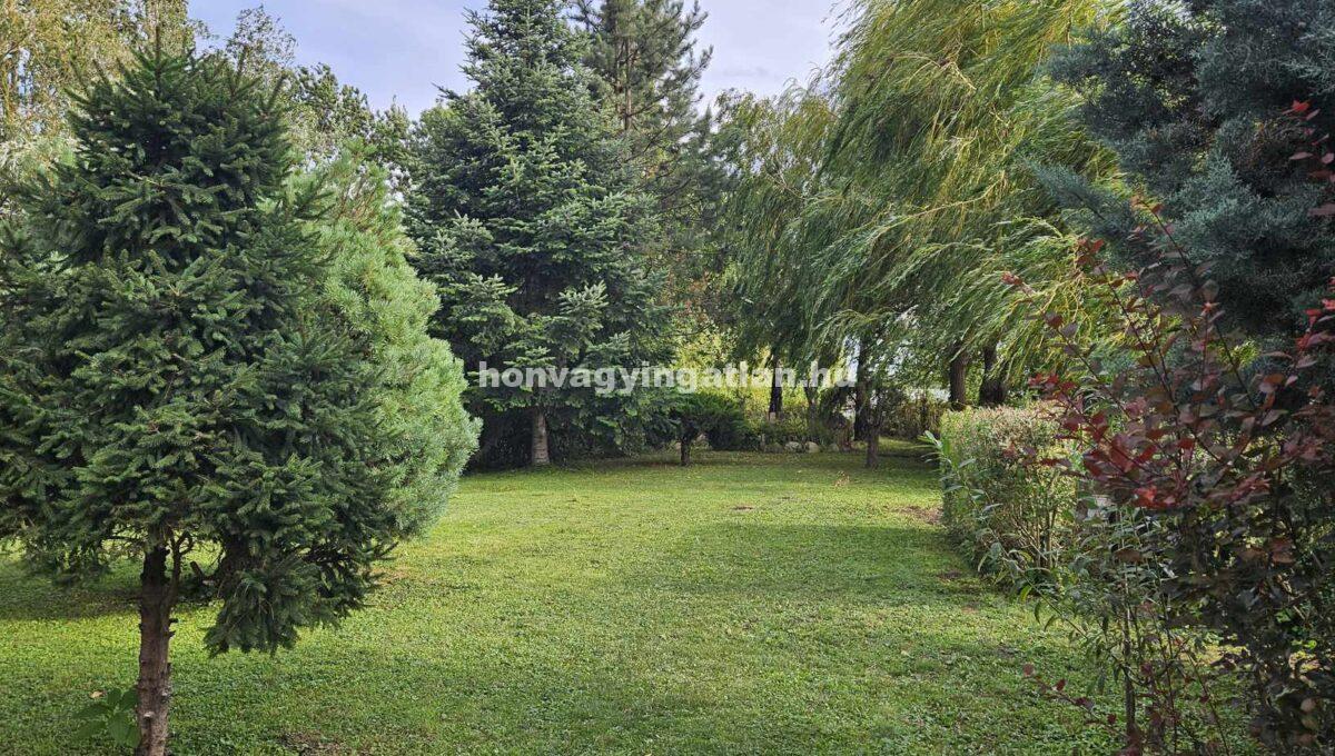 363849433_827546792022571_2077633428990390558_n