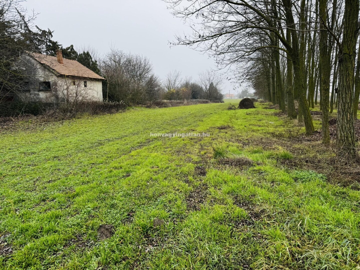 HÉV- ÉS TERMÁLFÜRDŐ KÖZELI ÉPÍTÉSI TELEK RÁCKEVÉN – T22